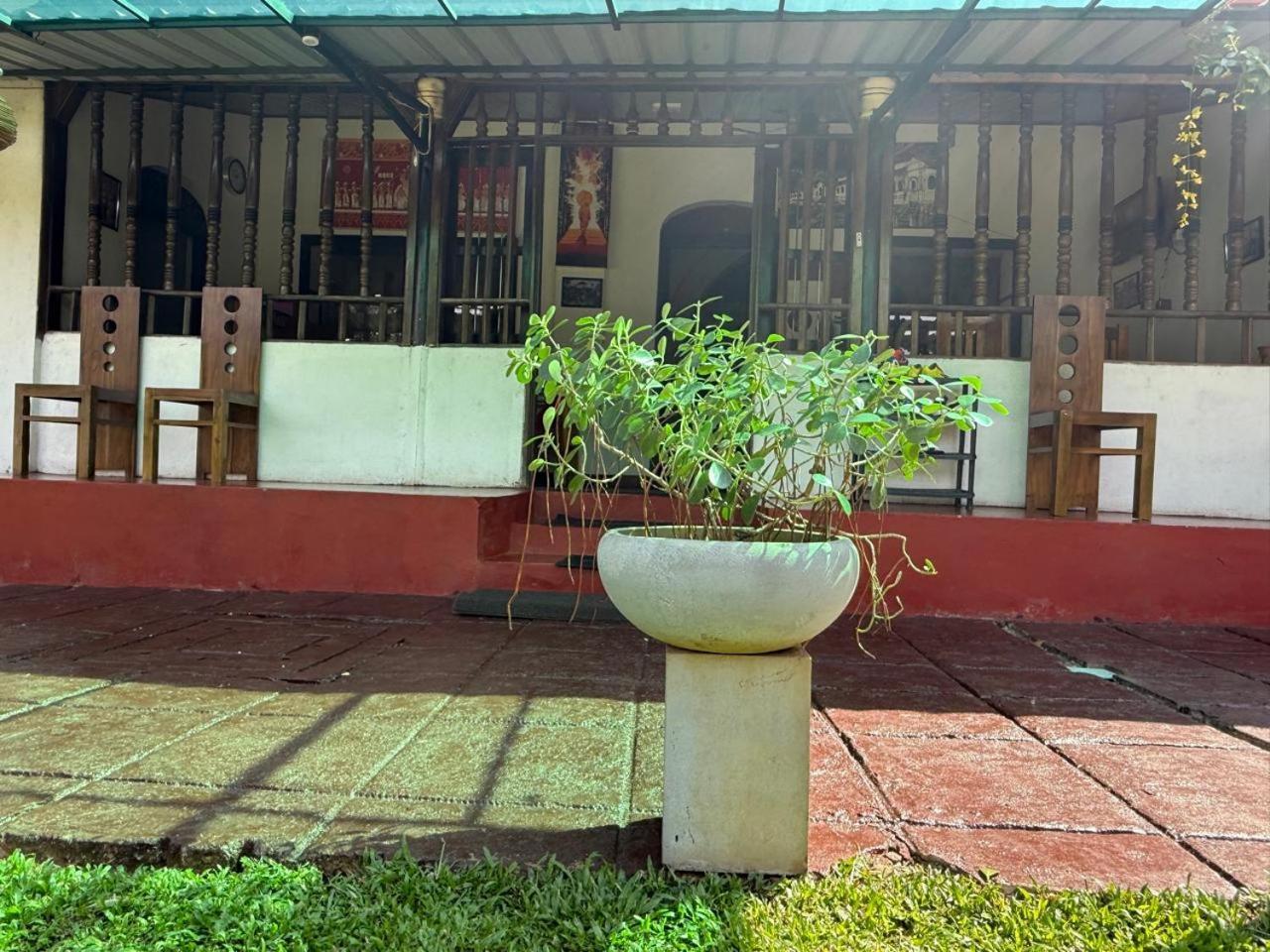Lake Classical Guest House Kandy Dış mekan fotoğraf